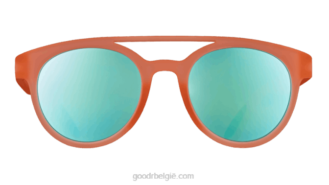 Goodr blijf vliegen, ornithologen 4226102