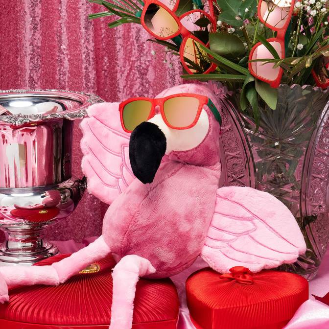 Goodr carl is netelig en klaar om te forni 422637