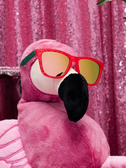 Goodr carl is netelig en klaar om te forni 422637