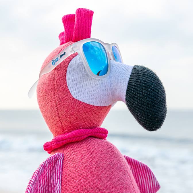 Goodr deze tinten zijn trash 2023 422654