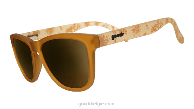 Goodr joshua tree nationaal park 422633